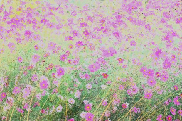 高野裕子の作品